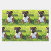 ボクサーをスパイク-犬を包む紙シート ラッピングペーパーシート (正面)