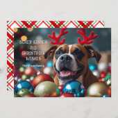 ボクサーキスとクリスマスの願い シーズンカード (正面/裏面)