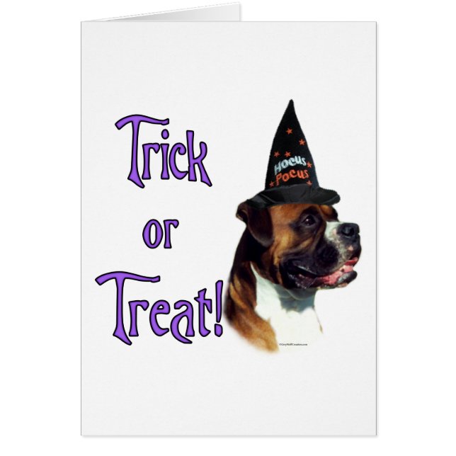 ボクサートリック (正面)