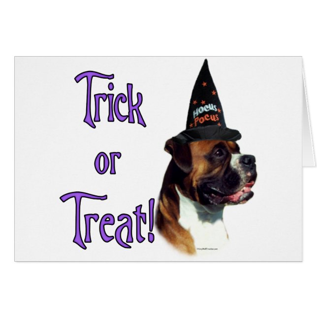 ボクサートリック (正面横)