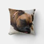 ボクサードッグ装飾用クッション クッション (正面)