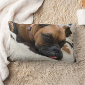 ボクサードッグ装飾用クッション ランバークッション (ブランケット)