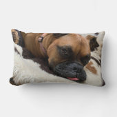 ボクサードッグ装飾用クッション ランバークッション (正面)