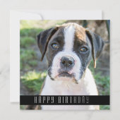 ボクサーハッピーバースデーウィッシュドッグ誕生日カード 案内状 (正面)