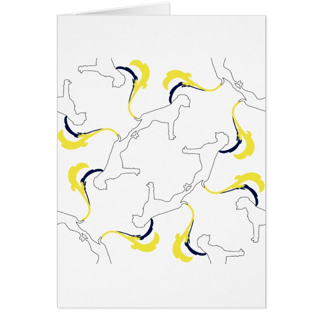 ボクサーパターン (正面)