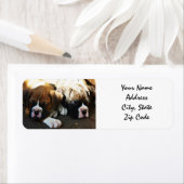 ボクサーパピーズ住所 シール (インサイチュ)