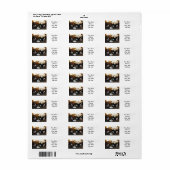 ボクサーパピーズ住所 シール (フルシート)