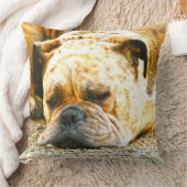 ボクサーパピードッグウォーターカラー油絵を描アート クッション (ブランケット)