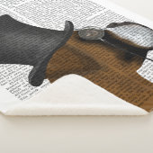 ボクサーフォーマル・ハウンド・ハット シェルパブランケット (3/4)