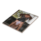 ボクサーベビー タイル (側面)