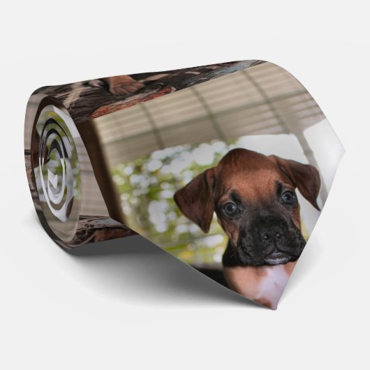 ボクサーベビー ネクタイ (ロール)