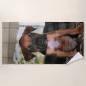 ボクサーベビー ビーチタオル (正面)