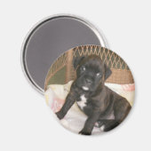 ボクサーベビー! マグネット (正面/裏面)