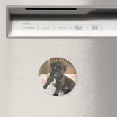 ボクサーベビー! マグネット (インサイチュ (食洗機))