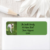 ボクサーラベル ラベル (インサイチュ)