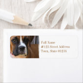 ボクサーレスキュー差出人住所ラベル ラベル (インサイチュ)