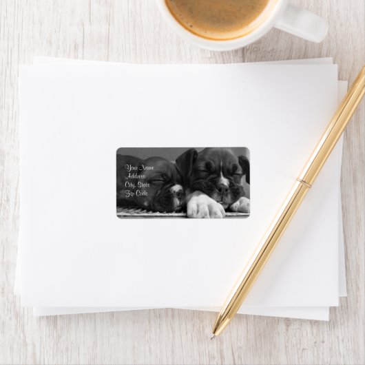 ボクサー住所 シール (インサイチュ)