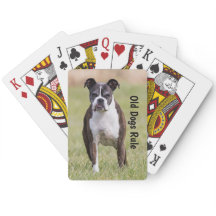 ボクサー古い犬の規則