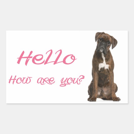 ボクサー子犬の挨拶ステッカー Hello / Hi 長方形シール (正面)