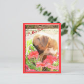 ボクサー恋しく思のはがき ポストカード (スタンド正面)