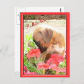 ボクサー恋しく思のはがき ポストカード (正面/裏面)