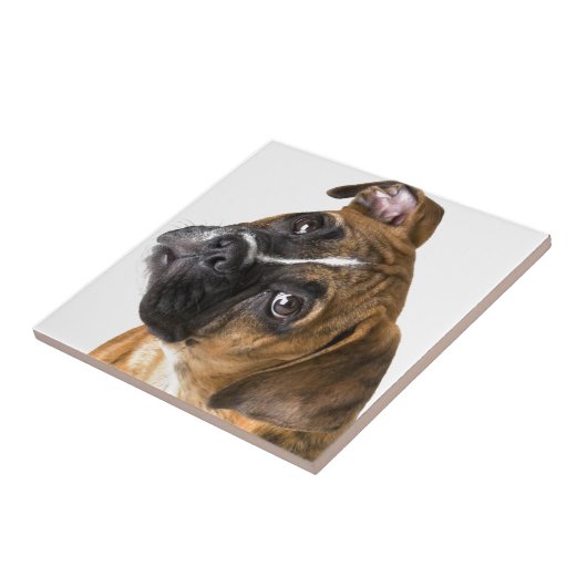 ボクサー愛 タイル (側面)