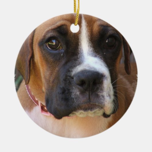 ボクサー犬のデザインのオーナメント セラミックオーナメント (正面)