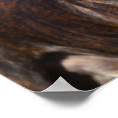 ボクサー犬のブルドル立ち ポスター (角)