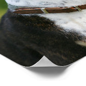 ボクサー犬のプロフィール ポスター (角)