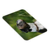 ボクサー犬のプロフィール マグネット (右側)