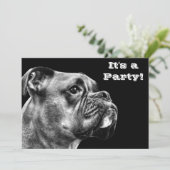 ボクサー犬のプロフィール 招待状 (スタンド正面)