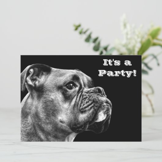 ボクサー犬のプロフィール 招待状 (スタンド正面)