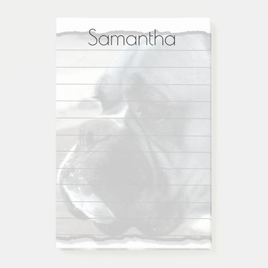 ボクサー犬のポスト・イットのパッド ポストイット (正面)