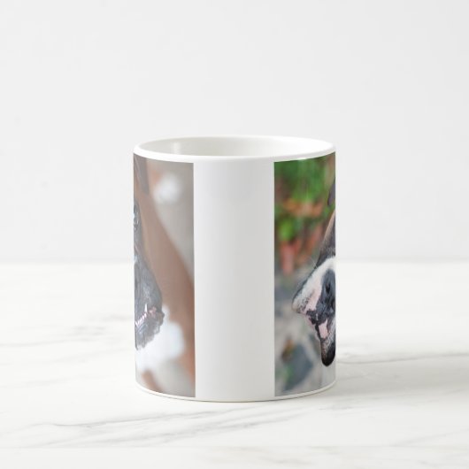 ボクサー犬のマグ コーヒーマグカップ (中央)