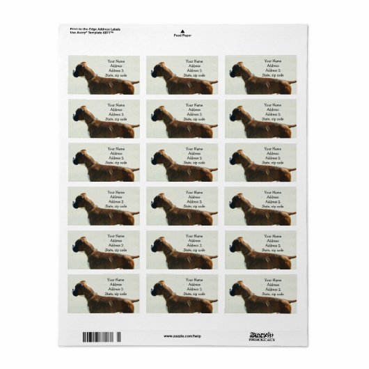 ボクサー犬の住所 シール (フルシート)