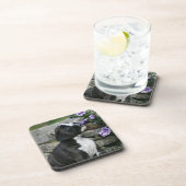 ボクサー犬の喘ぐこと コースター (右側)