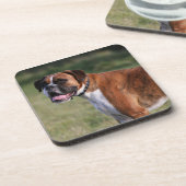 ボクサー犬の地位 コースター (左側)
