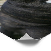 ボクサー犬の息を切らす ポスター (角)