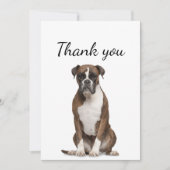ボクサー犬の愛玩動物に感謝 サンキューカード (正面)