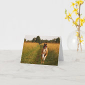 ボクサー犬の挨拶状 カード (黄色い花)