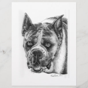 ボクサー犬の絵 チラシ