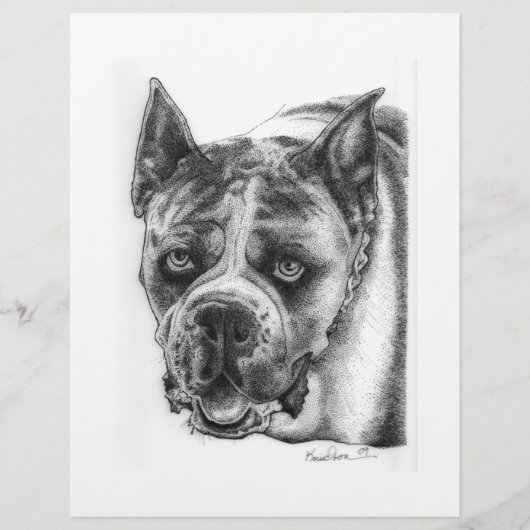 ボクサー犬の絵 チラシ (正面)