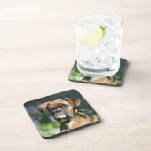 ボクサー犬のHeadshot コースター (右側)