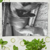 ボクサー犬オンウィンドシルKtm キッチンタオル (折り畳み)