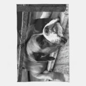 ボクサー犬オンウィンドシルKtm キッチンタオル (縦)