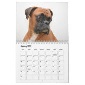 ボクサー犬カレンダー カレンダー (1月 2027)