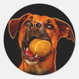 ボクサー犬モダン術 ラウンドシール