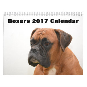 ボクサー犬2017年 カレンダー