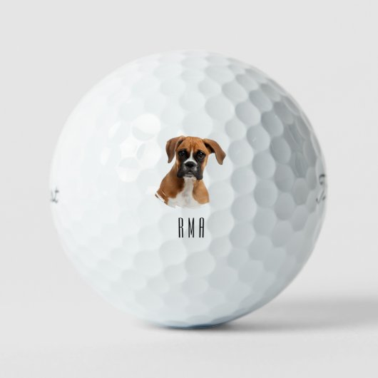 ボクサー犬 ゴルフボール (正面)