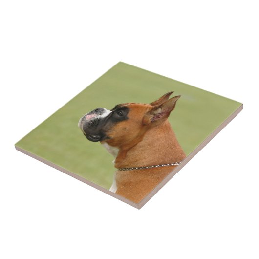 ボクサー犬 タイル (側面)